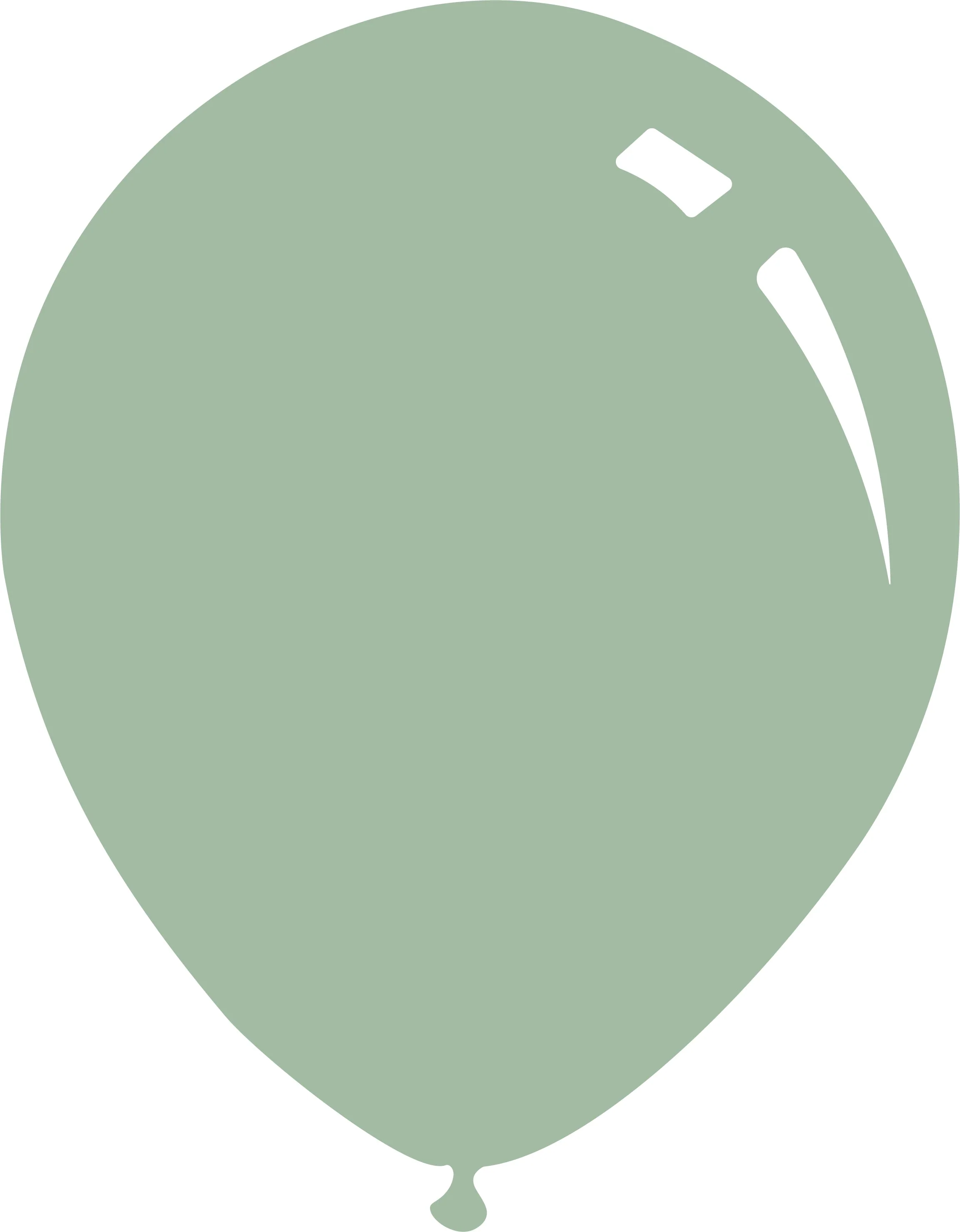 12" Deco eucalyptus Decomex Latex Balloons (100 Per Bag)