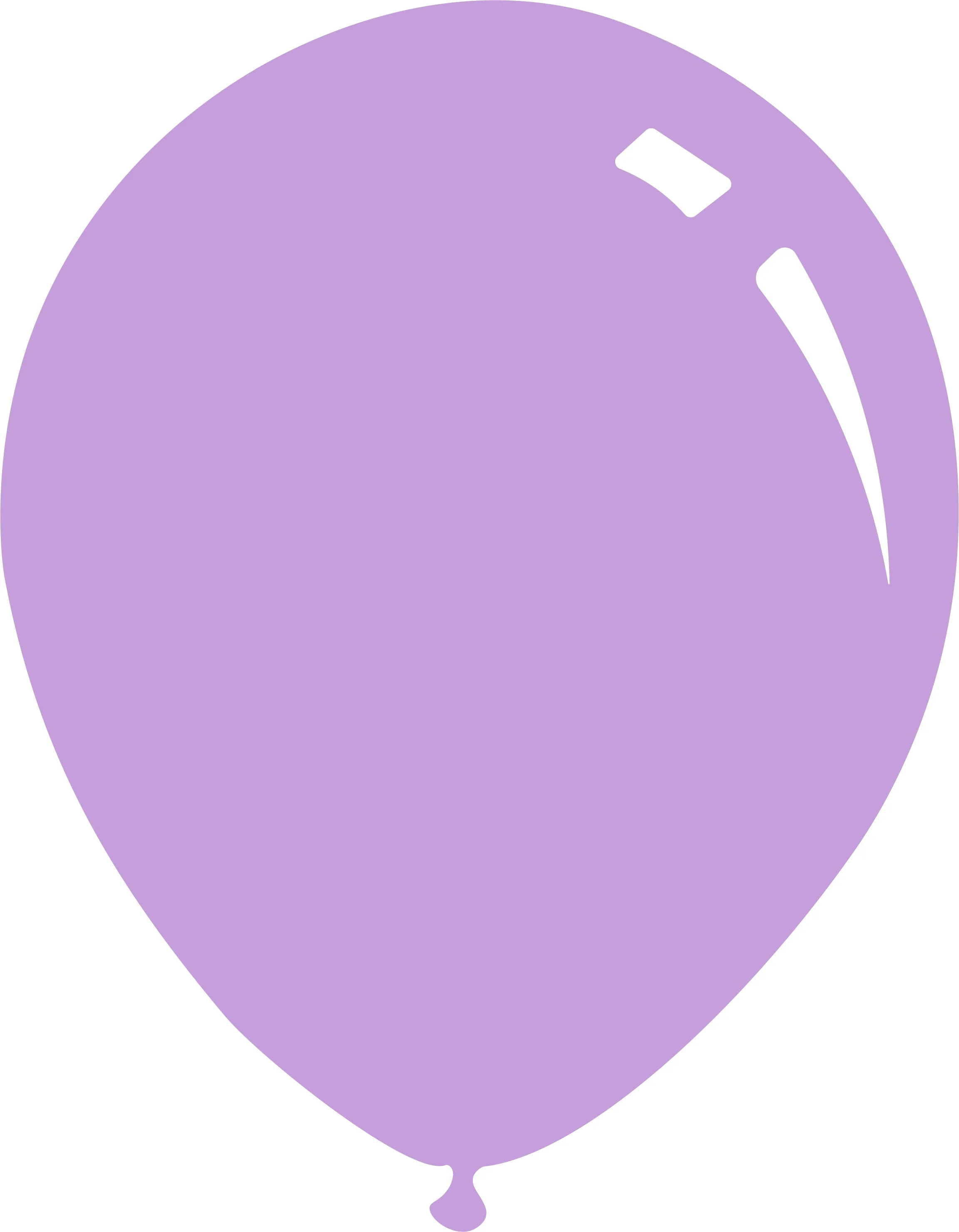 12" Deco Floral Decomex Latex Balloons (100 Per Bag)