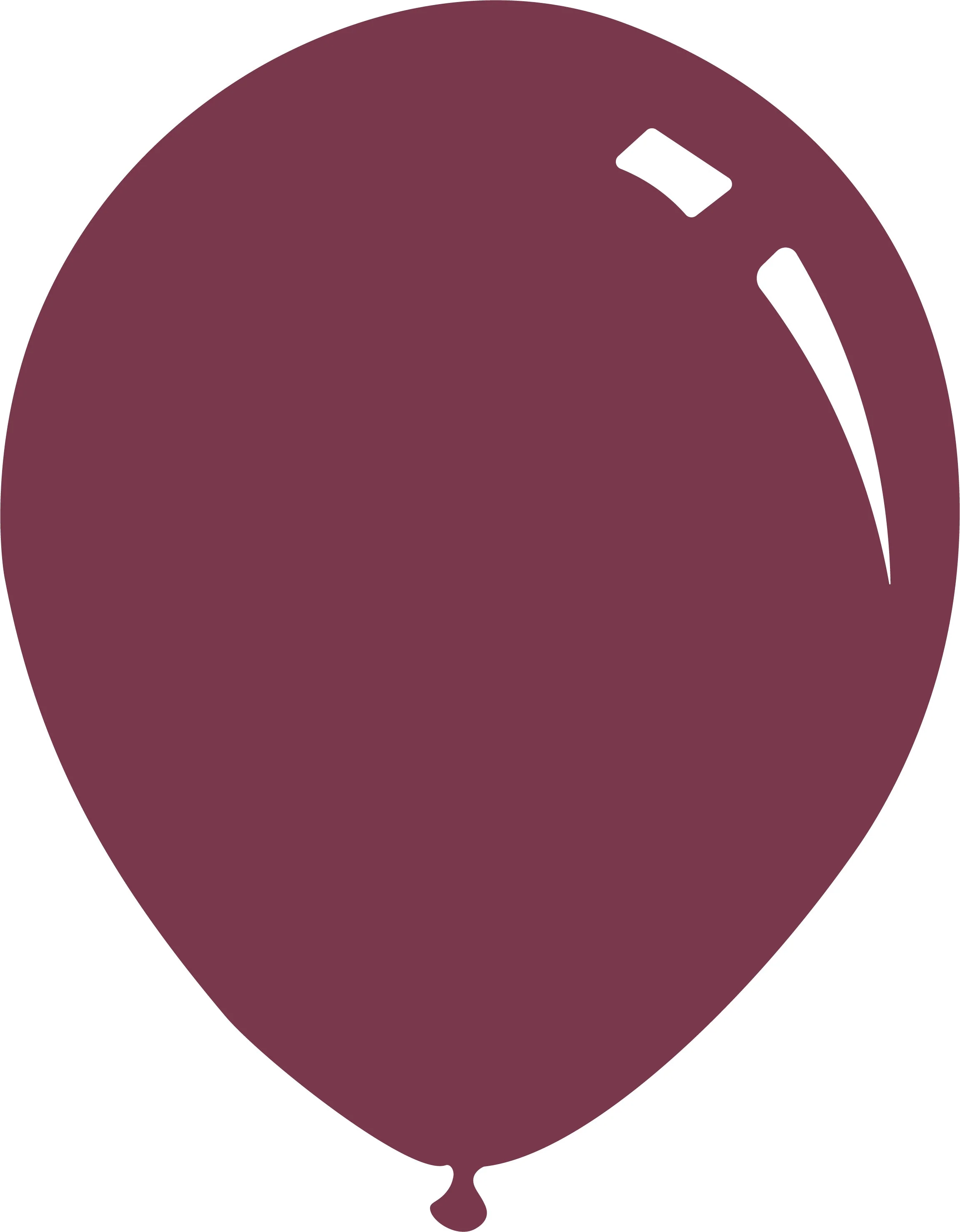 12" Deco Wild Berry Decomex Latex Balloons (100 Per Bag)