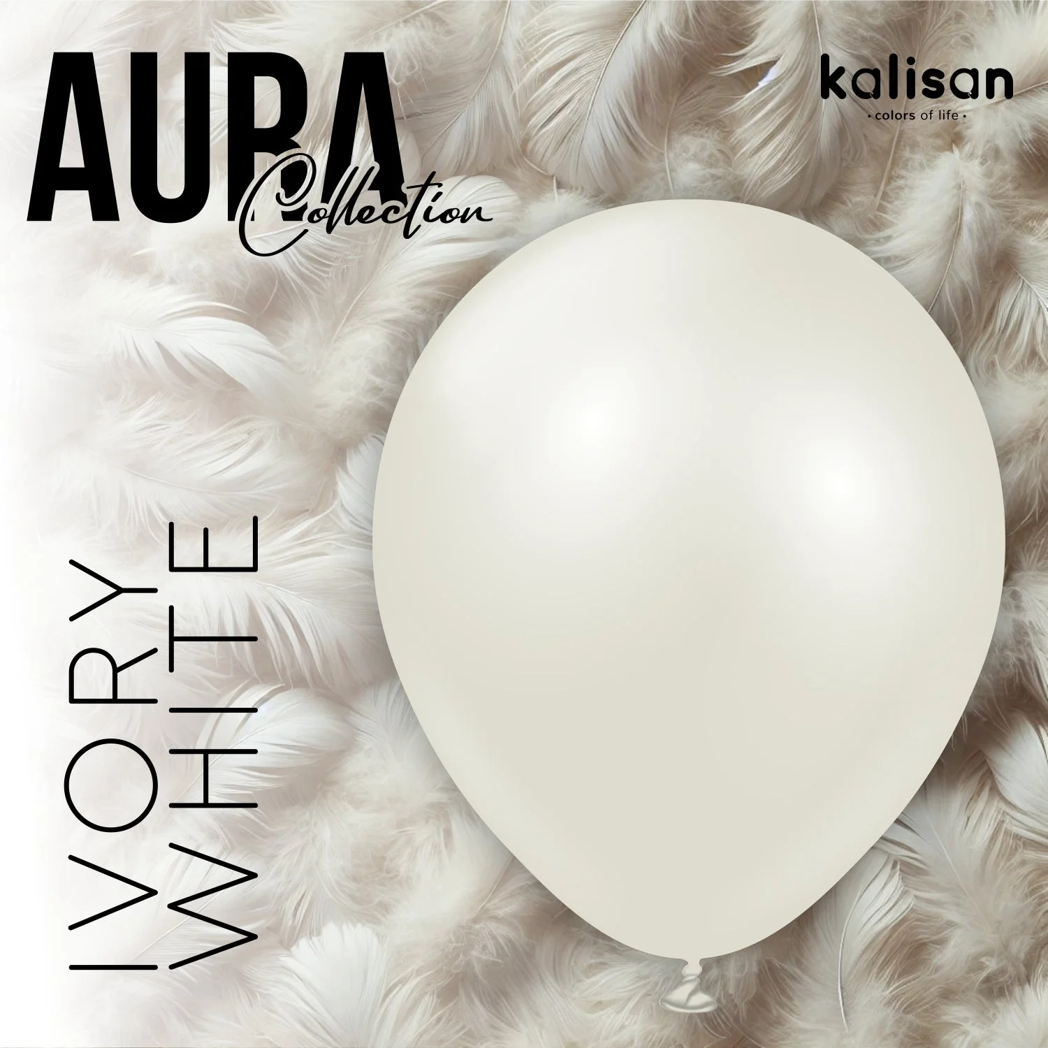 12" Kalisan Brand Latex Balloons Aura Ivory White (50 Per Bag) - Image 4