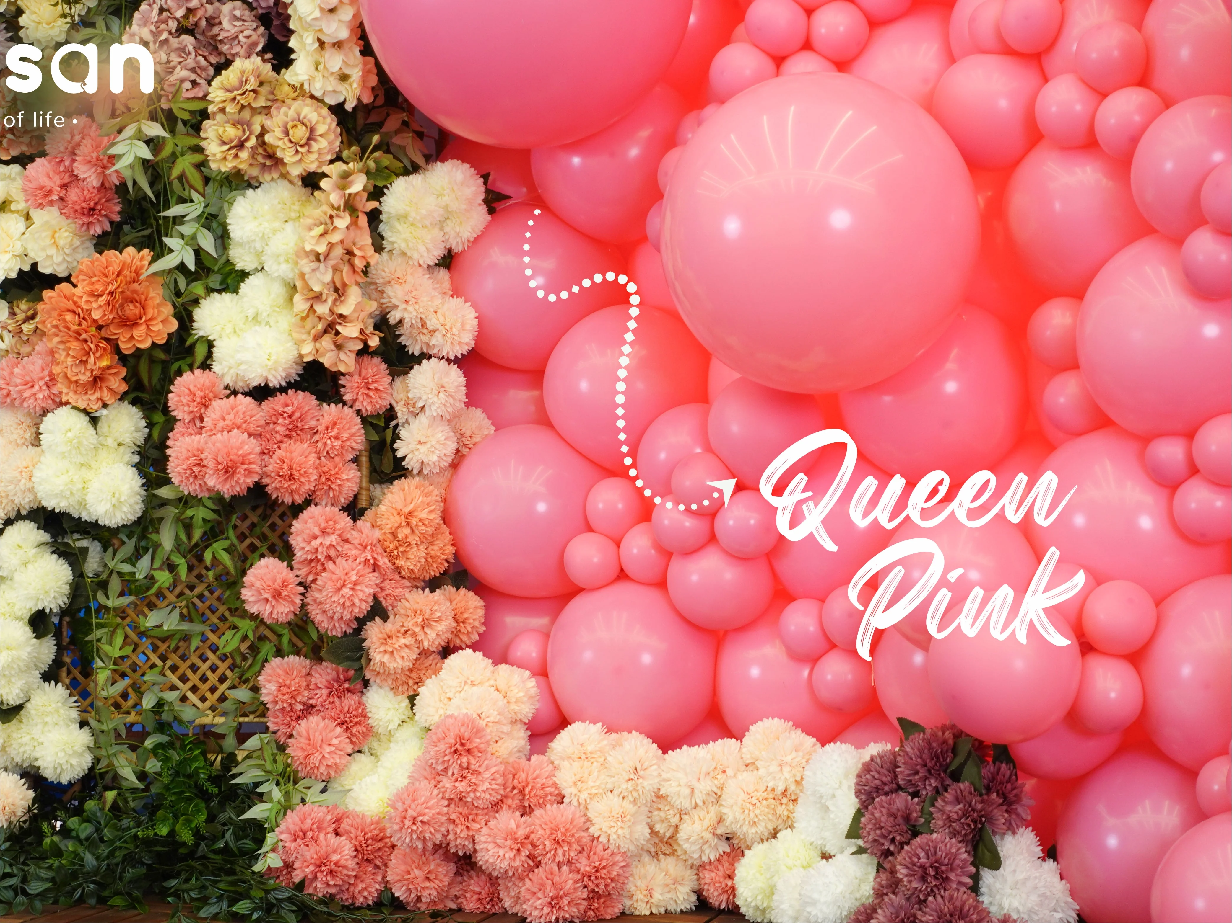 12" Kalisan Latex Balloons Standard Queen Pink (50 Per Bag) - Image 3
