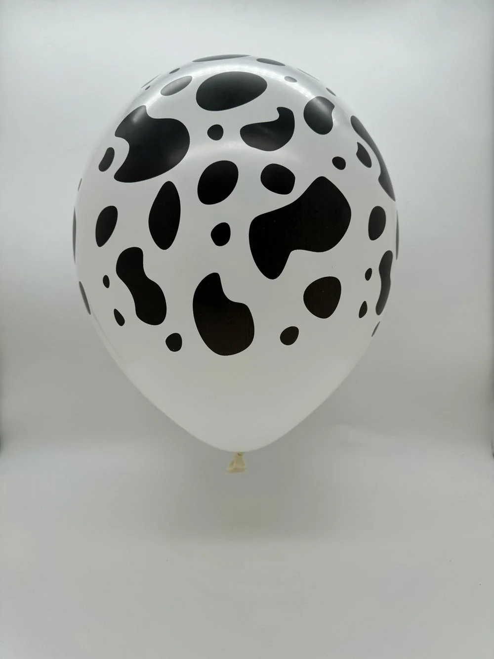 12" Latex Balloons All Around (25 Per Bag) Cow Print Decomex White - Image 2