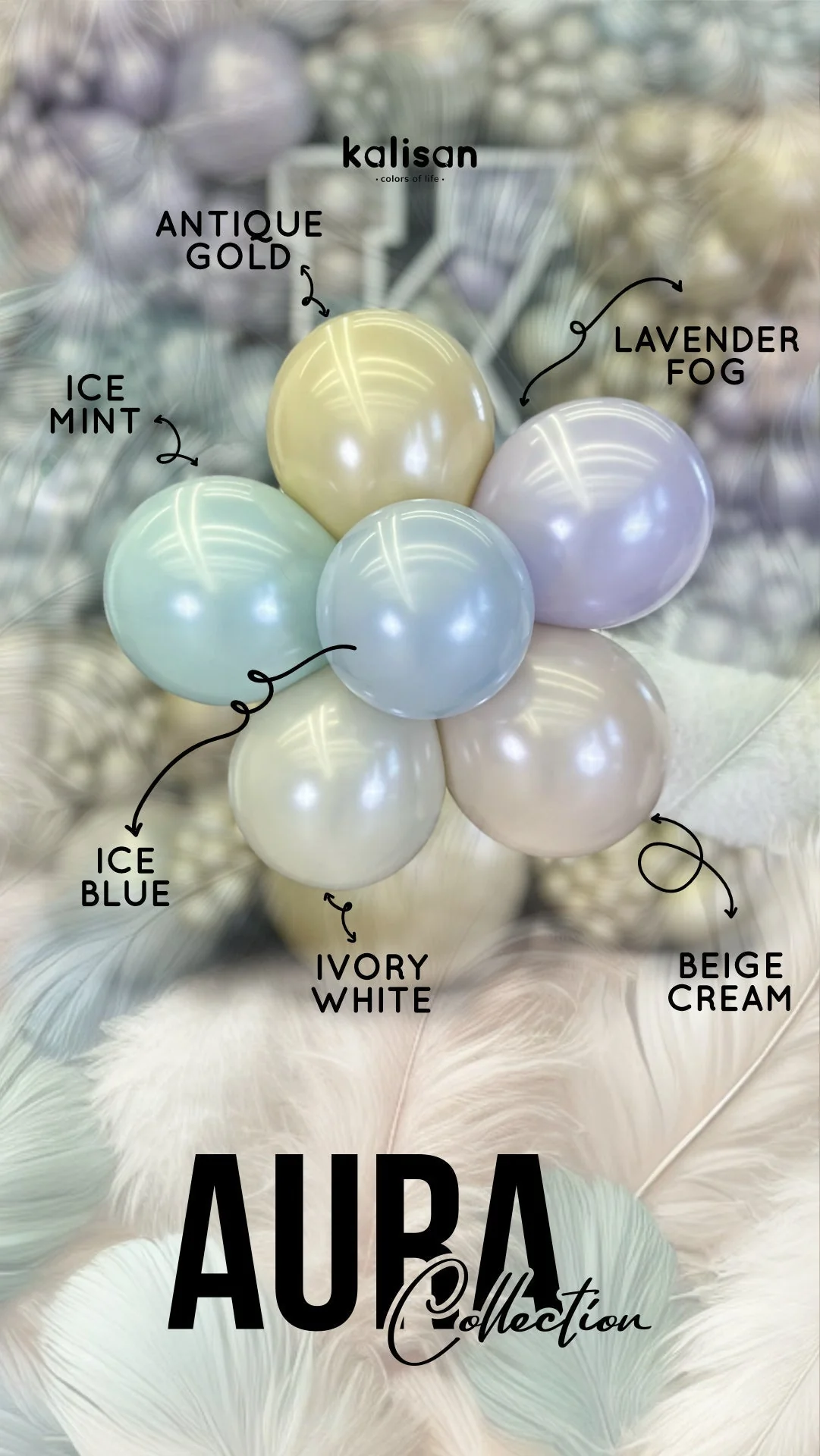 260K Kalisan Brand Twisting Latex Balloons Aura Ivory White (50 Per Bag) Nozzle Up - Image 15