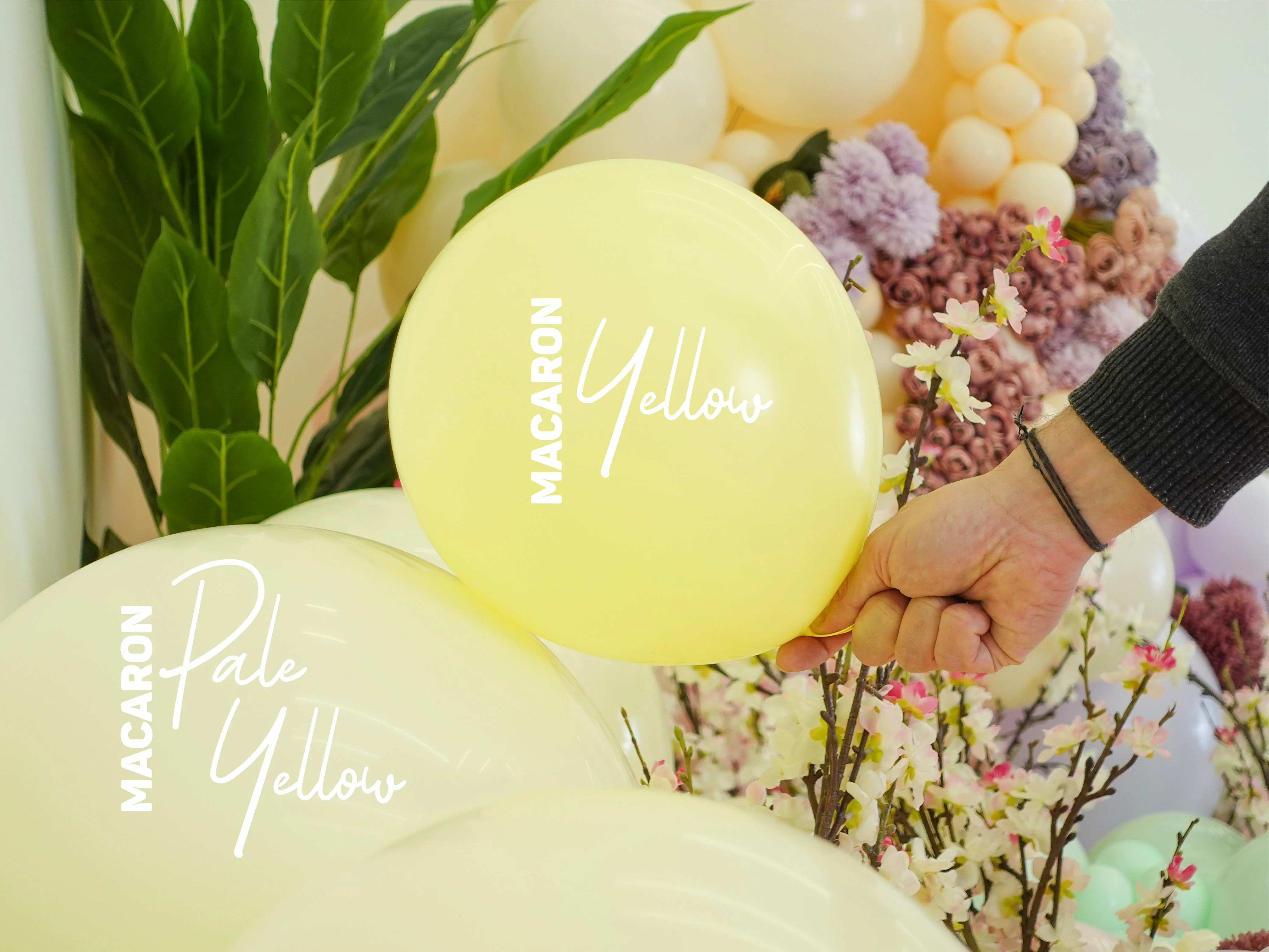 260K Nozzle Up Kalisan Twisting Latex Balloons Standard Macaron Pale Yellow (50 Per Bag) - Image 4