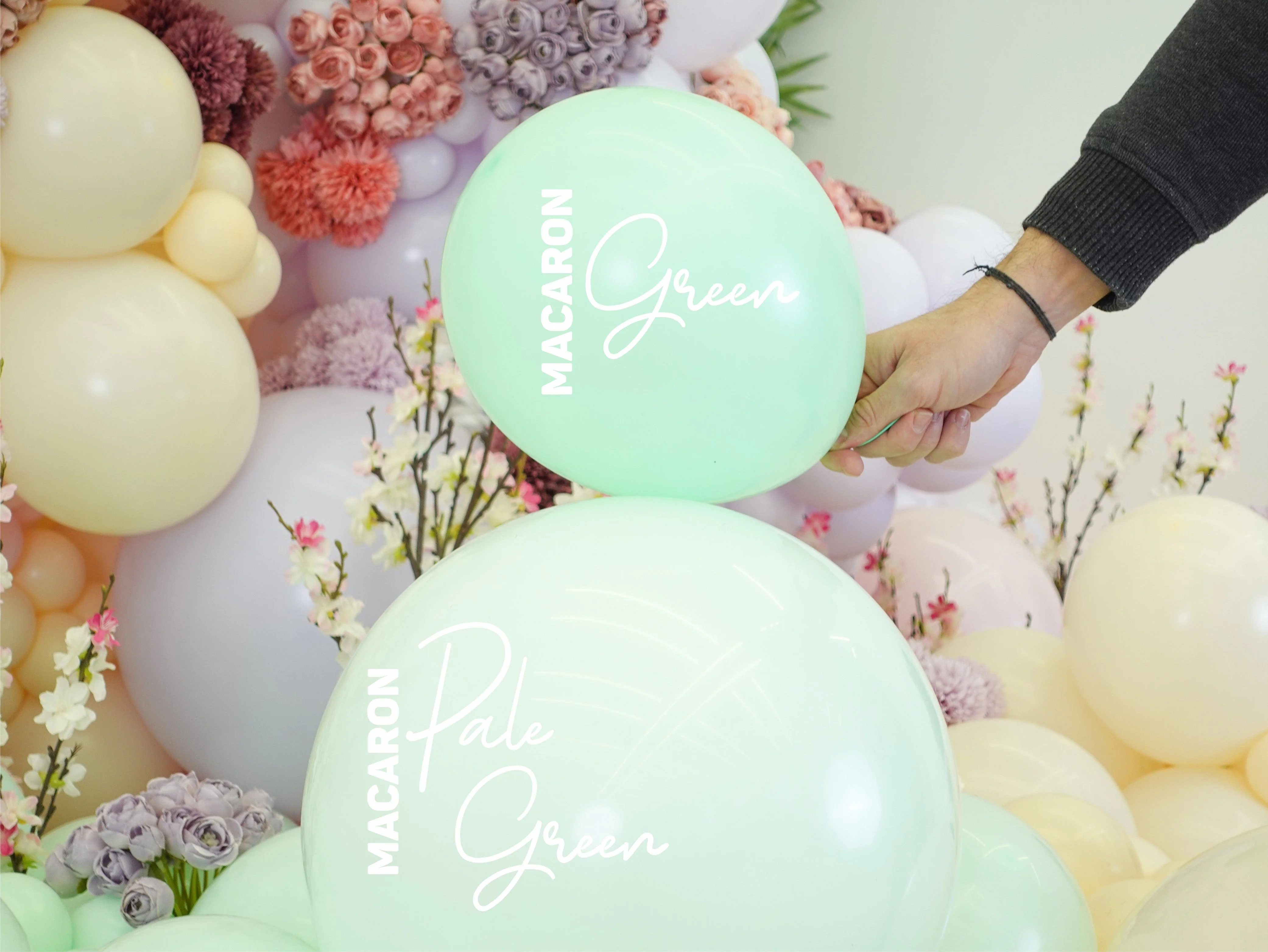 36" Kalisan Latex Balloons Standard Macaron Pale Green (2 Per Bag) - Image 3