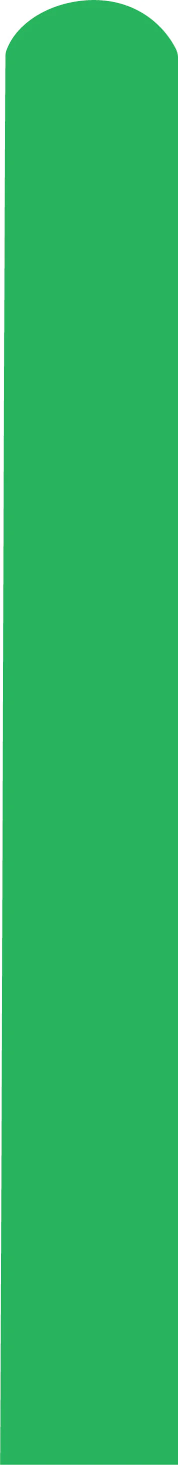 360D Standard Green Decomex Twisting Modelling Latex Balloons (50 Per Bag)