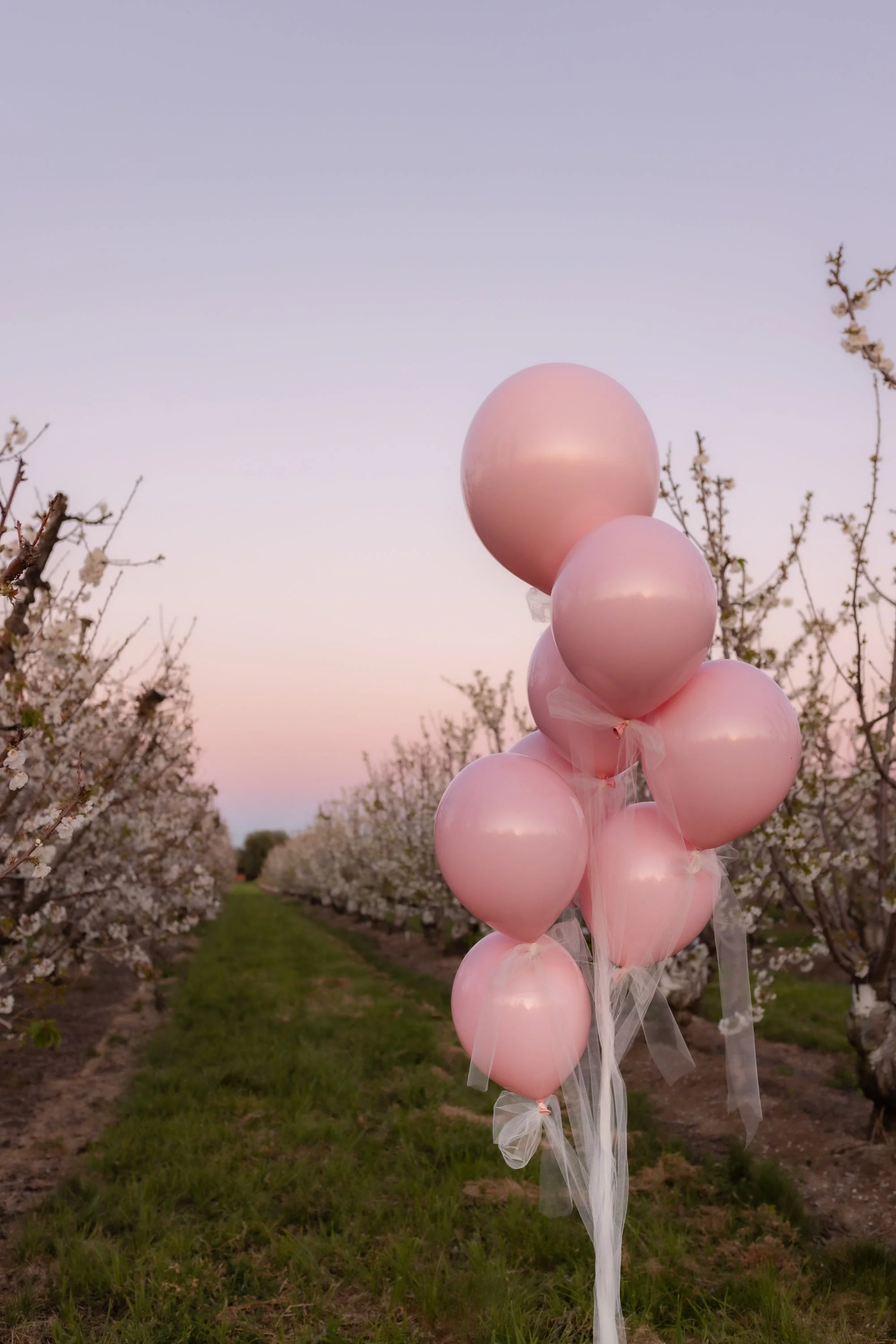 5" Romey Pearl Pink Tuftex Latex Balloons Designer Balloons (50 Per Bag) - Image 5