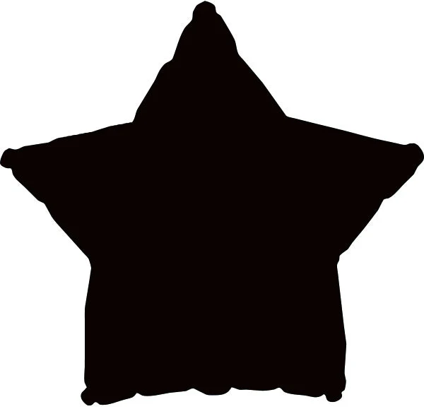 9" Airfill Only (Sticks Sold Separately) Black Star Balloon