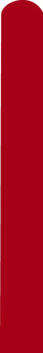 260D Standard Ruby Red Decomex Twisting Modelling Latex Balloons (100 Per Bag)