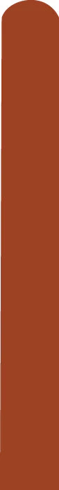 260D Deco Cider Orange (Rust Orange) Decomex Twisting Modelling Latex Balloons (100 Per Bag)