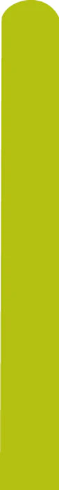 260D Deco Bright Lime Decomex Twisting Modelling Latex Balloons (100 Per Bag)
